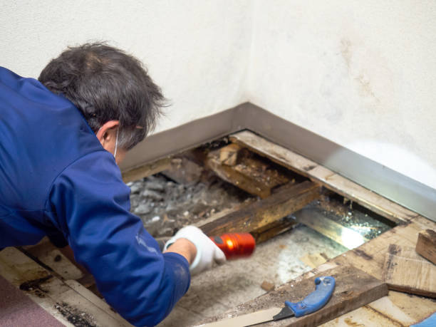 Best Crawl Space Mold Remediation in Omak, WA