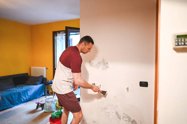 Best Mold Testing and Inspection Services in Omak, WA